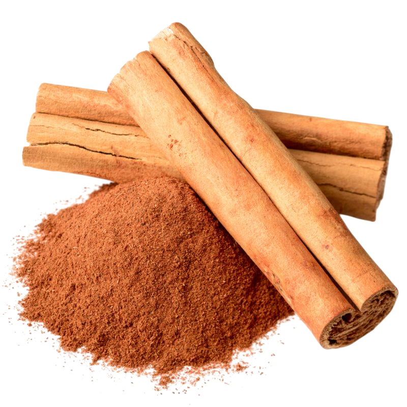 Cinnamon Exporter India