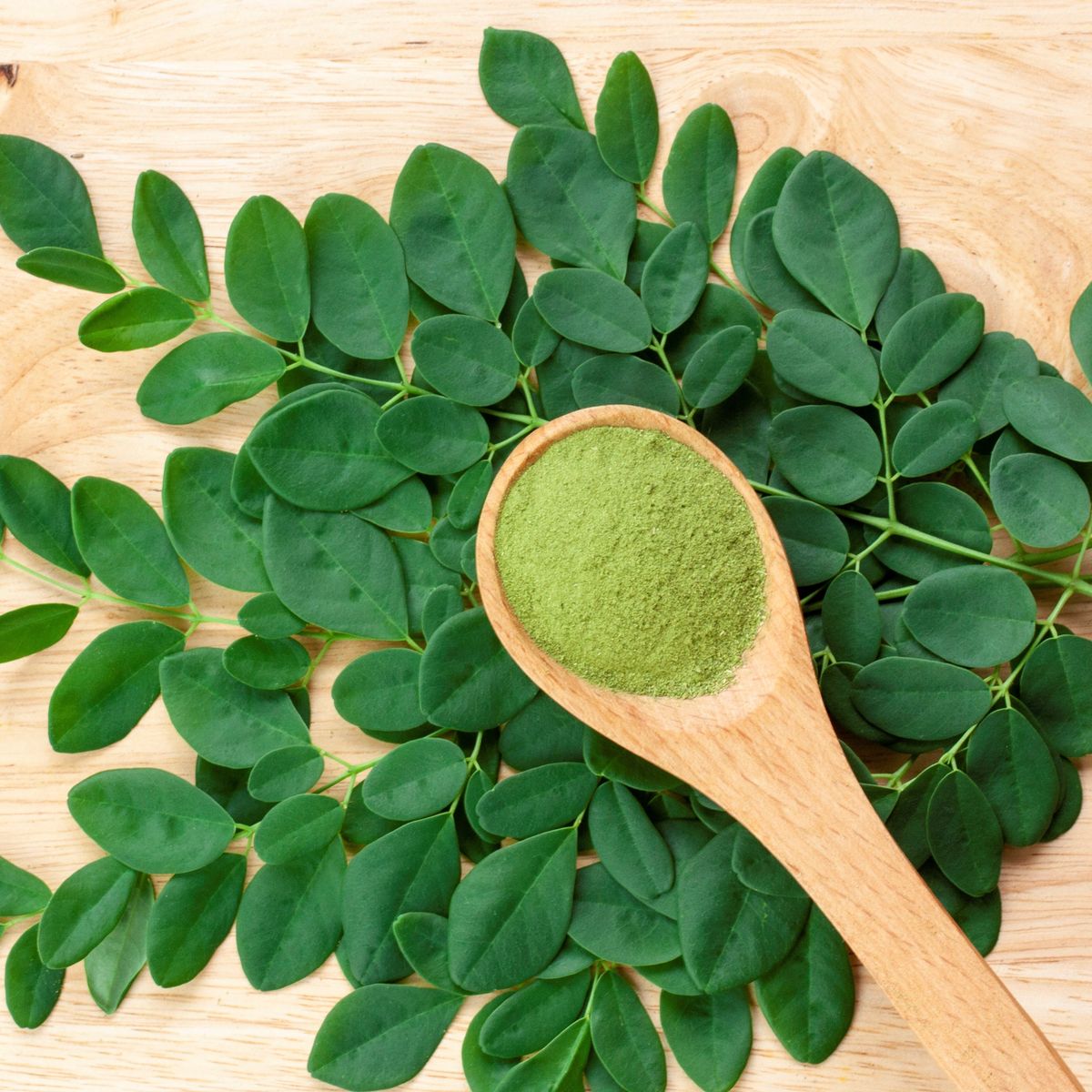 Moringa Exporter India